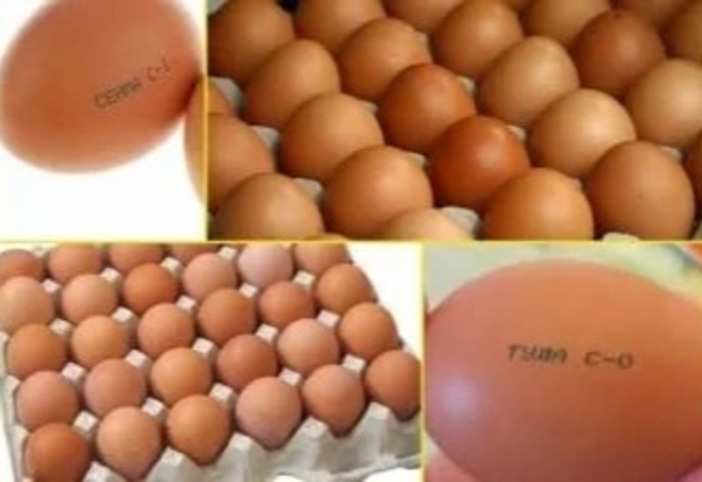 Яйца с0 или с2. Яйца с0 с1 с2. Яйца маркировка с1 с2. Маркировка яиц с0 с1 с2. C0 c1 c2 яйца.